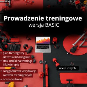 Prowadzenie Online Wersja BASIC
